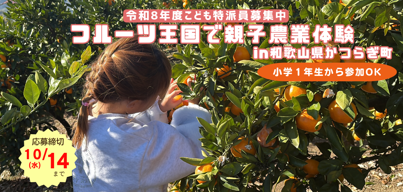 表紙【こどもがみかん狩りをしている写真】
