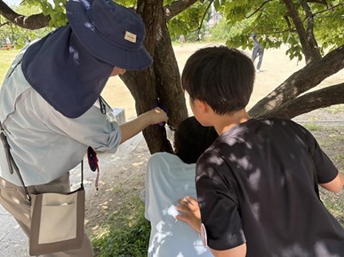 親子で被害の特徴を学ぶ
