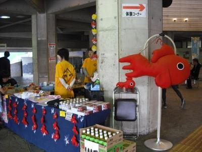 金魚すくい選手権大会