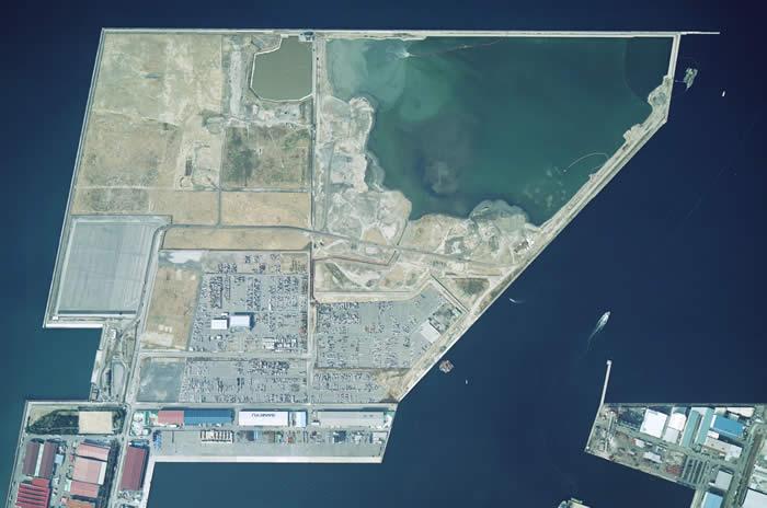 フェニックスの写真