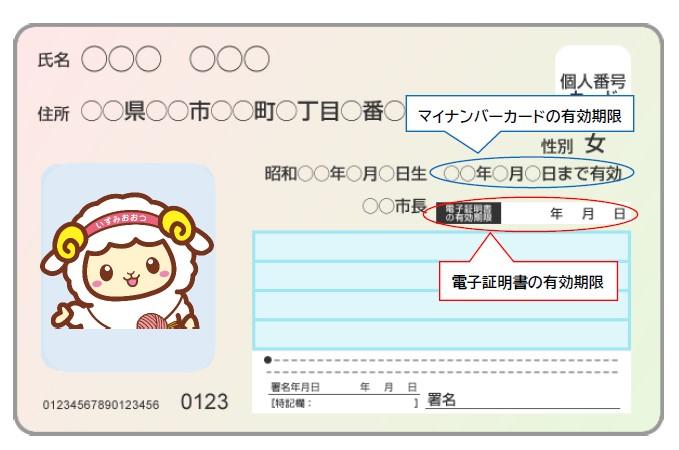 マイナンバーカード見本
