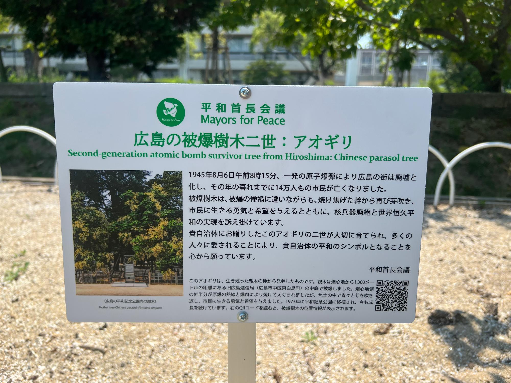 アオギリプレート