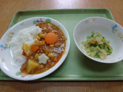 おづみんカレーと野菜サラダ
