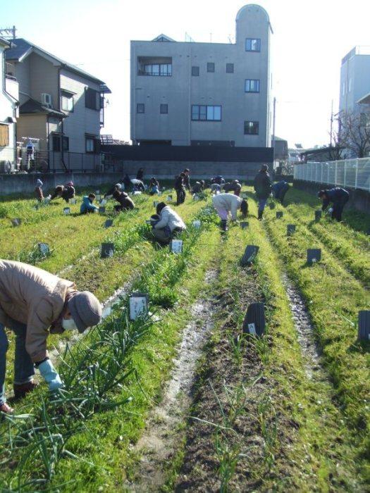 農地の様子です★