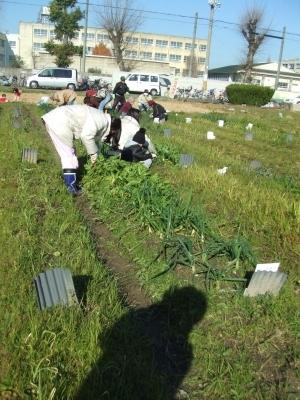 雑草を抜いて水をあげたよ！