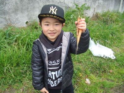 にんじんも収穫！