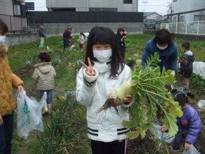 大根もとれました！