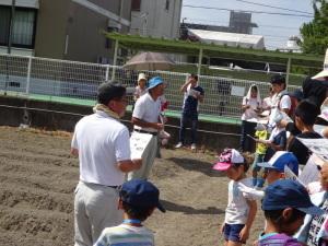 植え付けの説明
