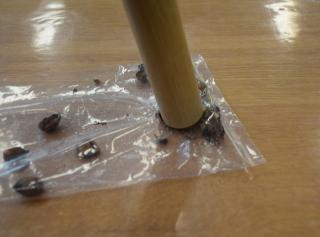 どんぐりを割る