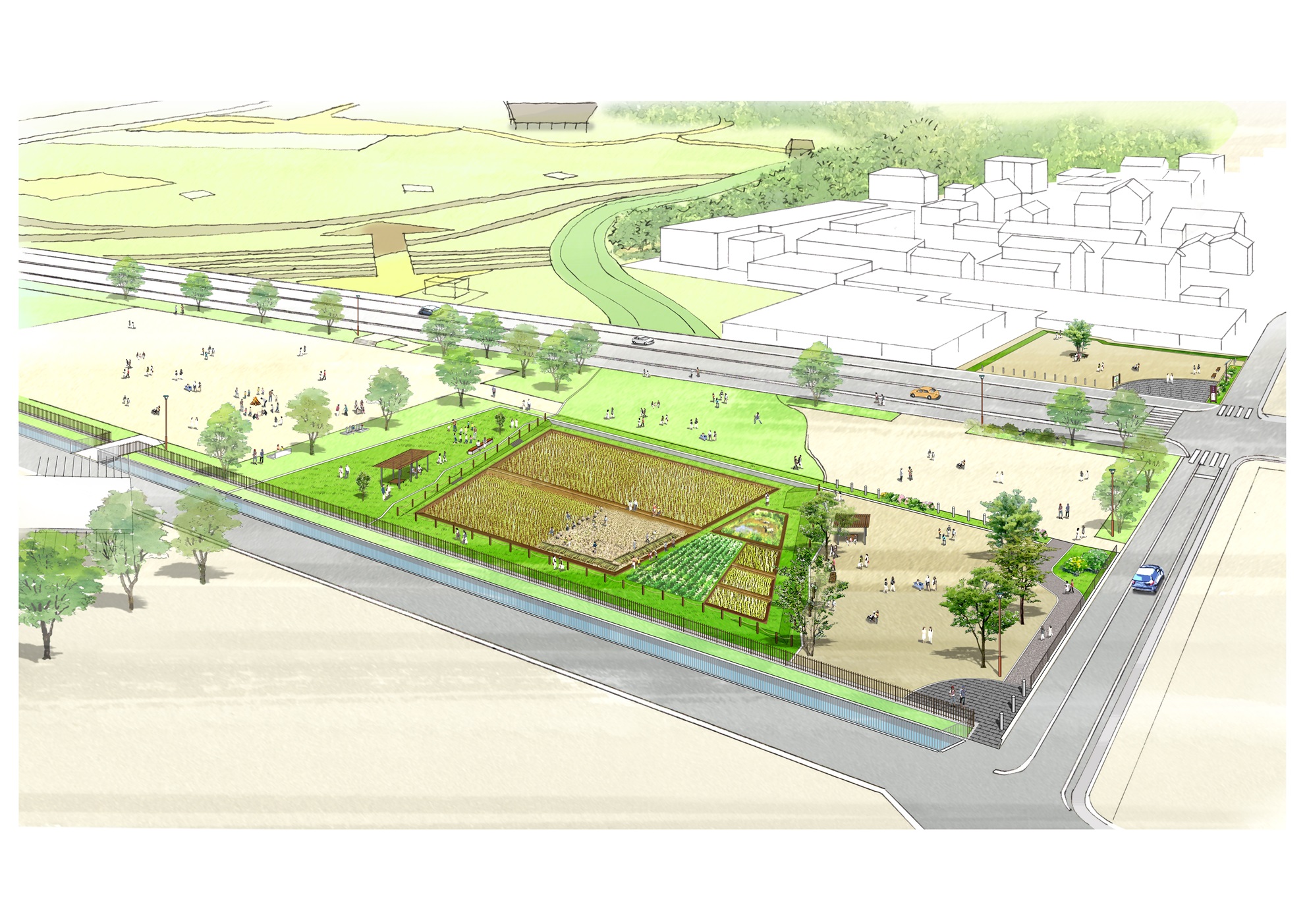 体験の広場拡張完成図