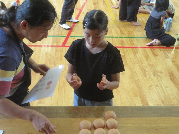 国産の小麦を使ったパンと外国産の小麦を使ったパン。どちらを選ぶ