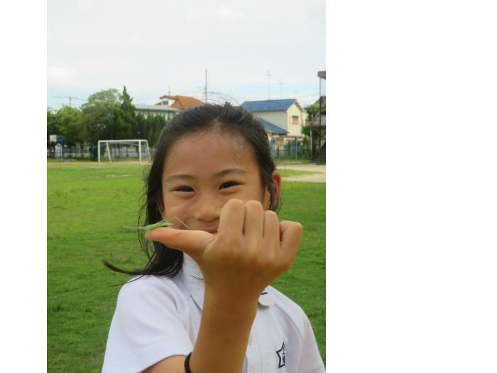 バッタを見つけたよ