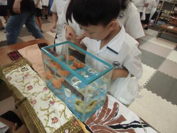 コイン落としをしました。