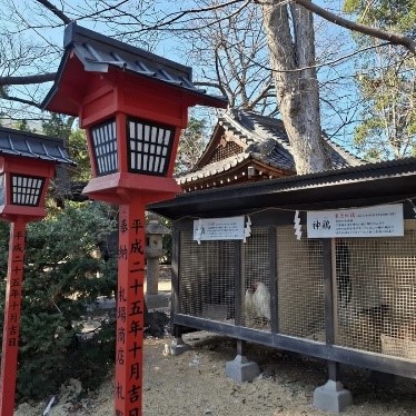 名所部門 最優秀賞『ココケッコーいい神社』